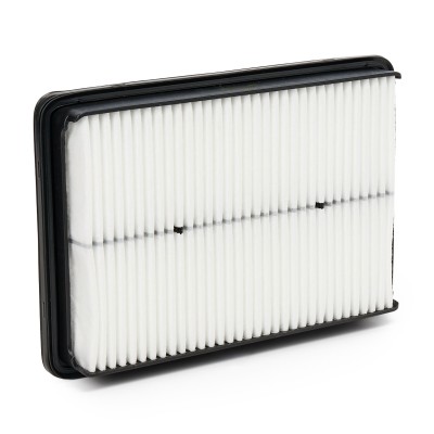Air Filter RIDEX 8A0670 8A0670 - photo 9