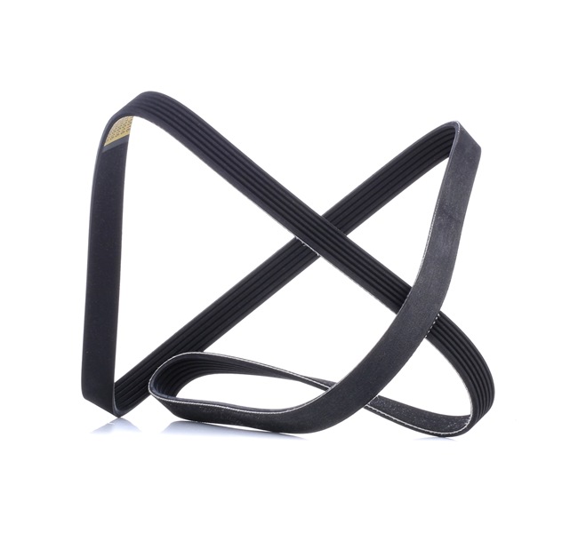 V-Ribbed Belt RIDEX 305P0508 305P0508 - photo 1