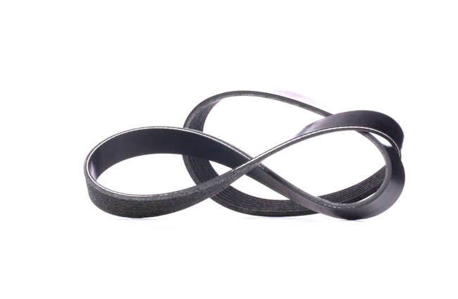 V-Ribbed Belt RIDEX 305P0419 305P0419 - photo 1