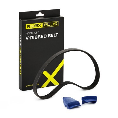 V-Ribbed Belt RIDEX 305P0498P 305P0498P - photo 2