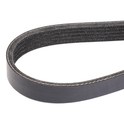 V-Ribbed Belt RIDEX 305P0164 305P0164 - photo 3