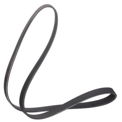 V-Ribbed Belt RIDEX 305P0501 305P0501 - photo 3