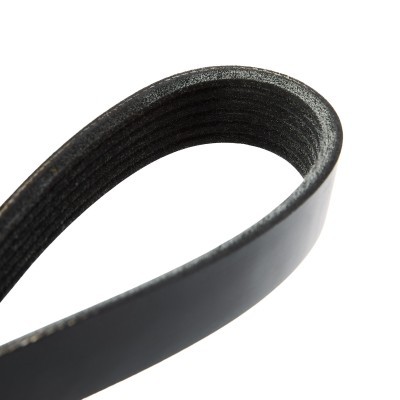 V-Ribbed Belt RIDEX 305P0359 305P0359 - photo 5