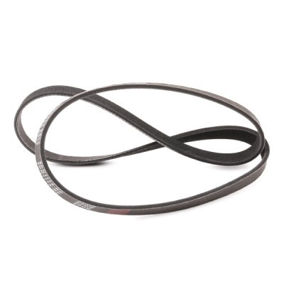 V-Ribbed Belt RIDEX 305P0242P 305P0242P - photo 3