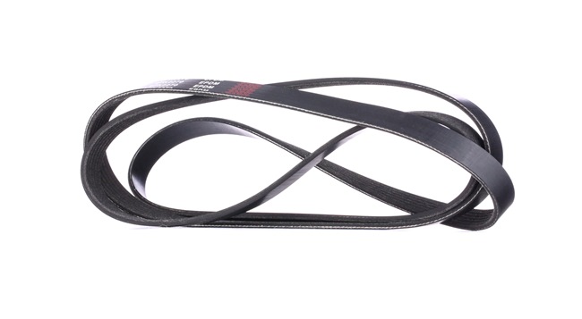 V-Ribbed Belt RIDEX 305P0101 305P0101 - photo 1