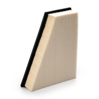 Air Filter RIDEX 8A0020 8A0020 - photo 9