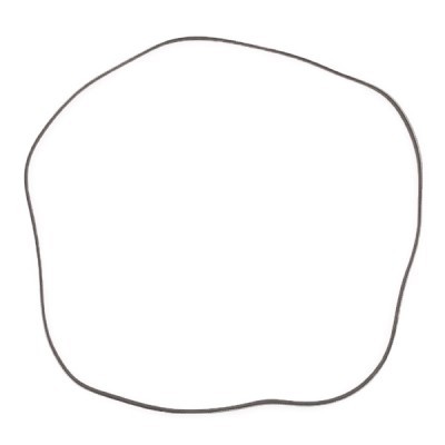 V-Ribbed Belt RIDEX 305P0069P 305P0069P - photo 4
