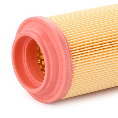 Air Filter RIDEX 8A0119 8A0119 - photo 9
