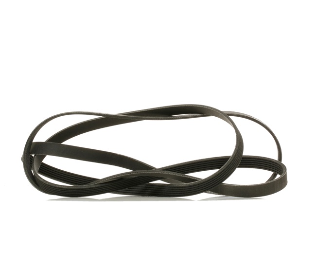 V-Ribbed Belt RIDEX 305P0298P 305P0298P - photo 1