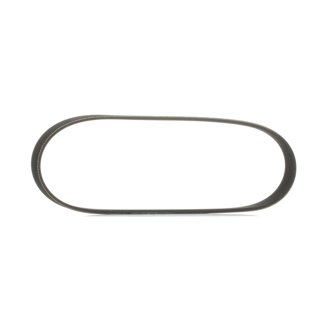 V-Ribbed Belt RIDEX 305P0495 305P0495 - photo 1