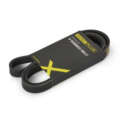 V-Ribbed Belt RIDEX 305P0322P 305P0322P - photo 2