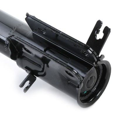 Shock Absorber RIDEX 854S0834 854S0834 - photo 5