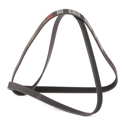 V-Ribbed Belt RIDEX 305P0095P 305P0095P - photo 3