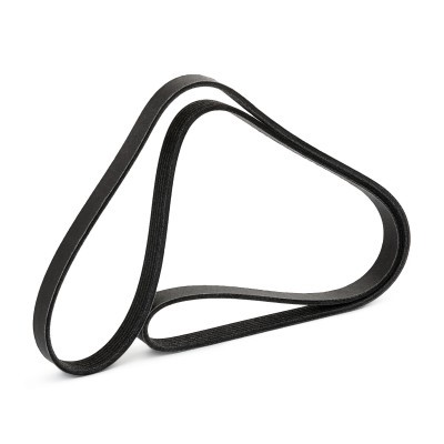 V-Ribbed Belt RIDEX 305P0647P 305P0647P - photo 3