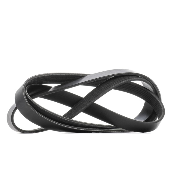 V-Ribbed Belt RIDEX 305P0436 305P0436 - photo 1