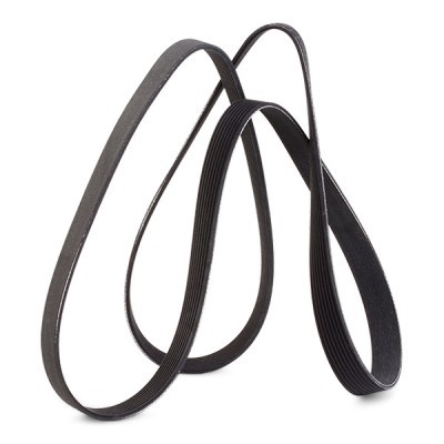 V-Ribbed Belt RIDEX 305P0491 305P0491 - photo 3
