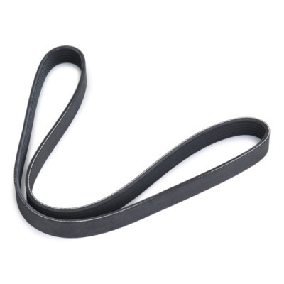 V-Ribbed Belt RIDEX 305P0534 305P0534 - photo 3