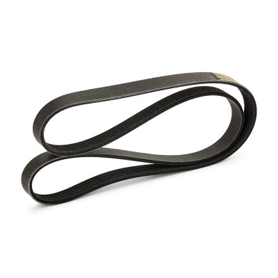 V-Ribbed Belt RIDEX 305P0792P 305P0792P - photo 2