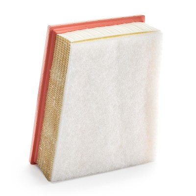 Air Filter RIDEX 8A0676 8A0676 - photo 9