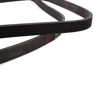 V-Ribbed Belt RIDEX 305P0081P 305P0081P - photo 4