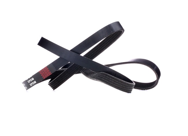 V-Ribbed Belt RIDEX 305P0321 305P0321 - photo 1
