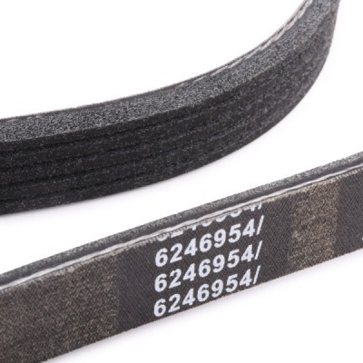 V-Ribbed Belt RIDEX 305P0034P 305P0034P - photo 5