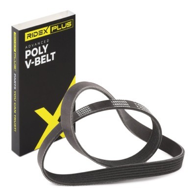 V-Ribbed Belt RIDEX 305P0053P 305P0053P - photo 2