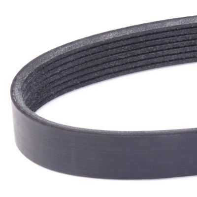 V-Ribbed Belt RIDEX 305P0223 305P0223 - photo 2