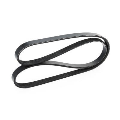 V-Ribbed Belt RIDEX 305P0154 305P0154 - photo 4