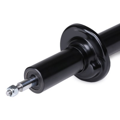 Shock Absorber RIDEX 854S1067 854S1067 - photo 6