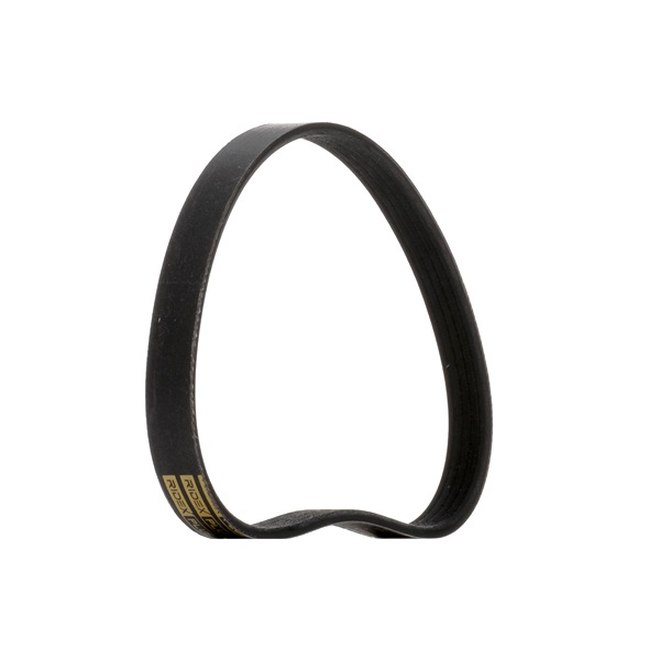 V-Ribbed Belt RIDEX 305P0498P 305P0498P - photo 1