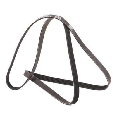 V-Ribbed Belt RIDEX 305P0158P 305P0158P - photo 3