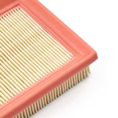 Air Filter RIDEX 8A0462 8A0462 - photo 10