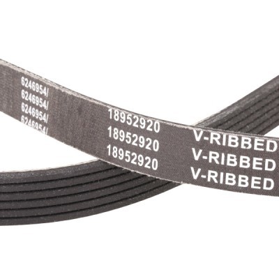 V-Ribbed Belt RIDEX 305P0158P 305P0158P - photo 5