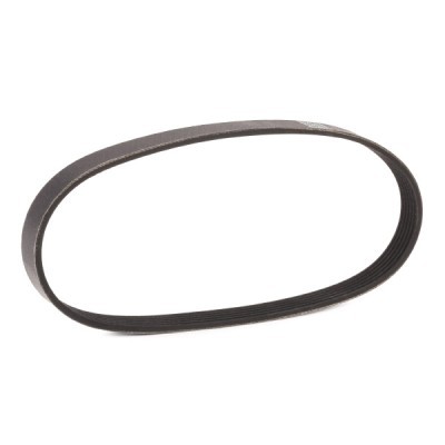 V-Ribbed Belt RIDEX 305P0615P 305P0615P - photo 3