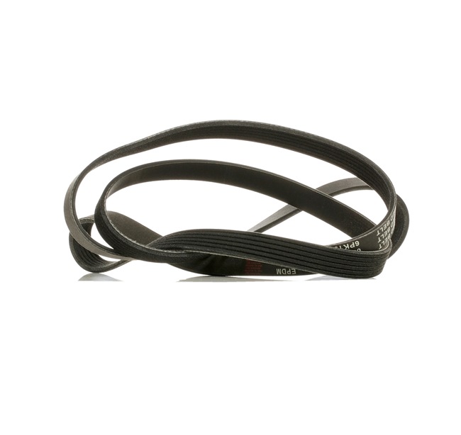 V-Ribbed Belt RIDEX 305P0150P 305P0150P - photo 1