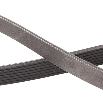 V-Ribbed Belt RIDEX 305P0109P 305P0109P - photo 5