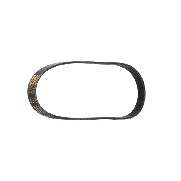 V-Ribbed Belt RIDEX 305P0236P 305P0236P - photo 1