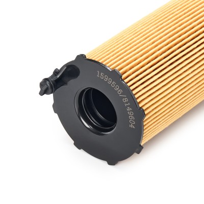 Oil Filter RIDEX 7O0105 7O0105 - photo 10