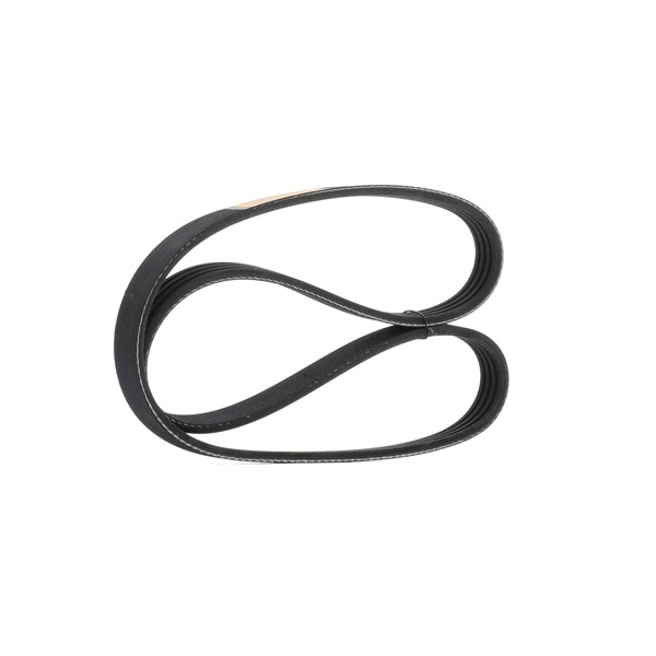 V-Ribbed Belt RIDEX 305P0442 305P0442 - photo 1