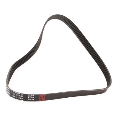 V-Ribbed Belt RIDEX 305P0065P 305P0065P - photo 3