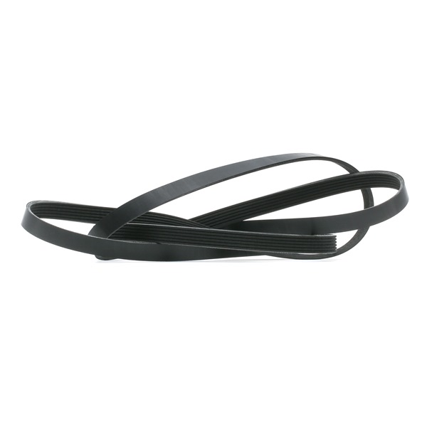 V-Ribbed Belt RIDEX 305P0235 305P0235 - photo 1