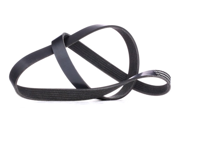 V-Ribbed Belt RIDEX 305P0064 305P0064 - photo 1
