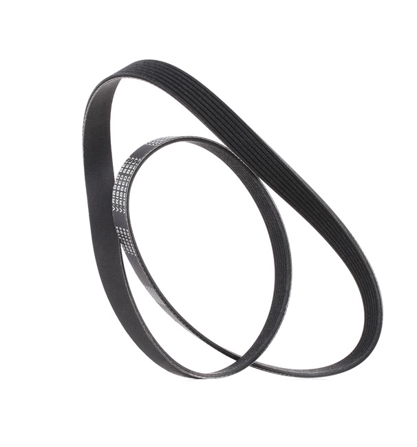V-Ribbed Belt RIDEX 305P0561P 305P0561P - photo 1