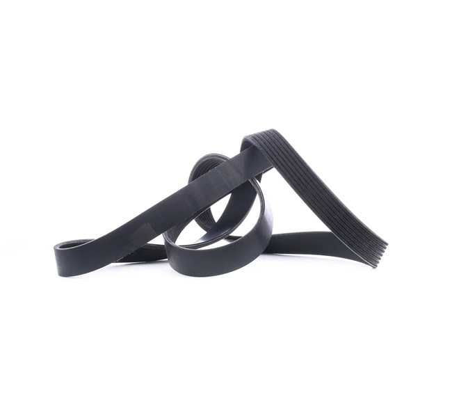 V-Ribbed Belt RIDEX 305P0289 305P0289 - photo 1