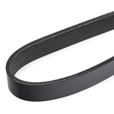 V-Ribbed Belt RIDEX 305P0055 305P0055 - photo 5