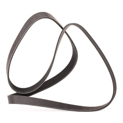 V-Ribbed Belt RIDEX 305P0071P 305P0071P - photo 4
