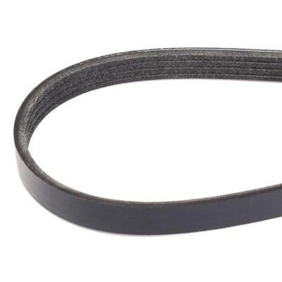 V-Ribbed Belt RIDEX 305P0351 305P0351 - photo 3