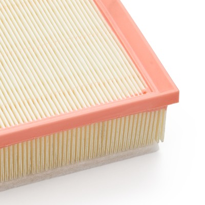 Air Filter RIDEX 8A0998 8A0998 - photo 9
