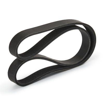 V-Ribbed Belt RIDEX 305P0050P 305P0050P - photo 4